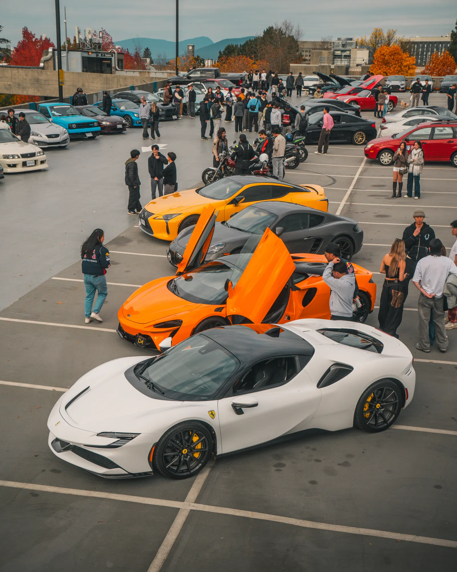 Nova North Shore cars and community at a meet