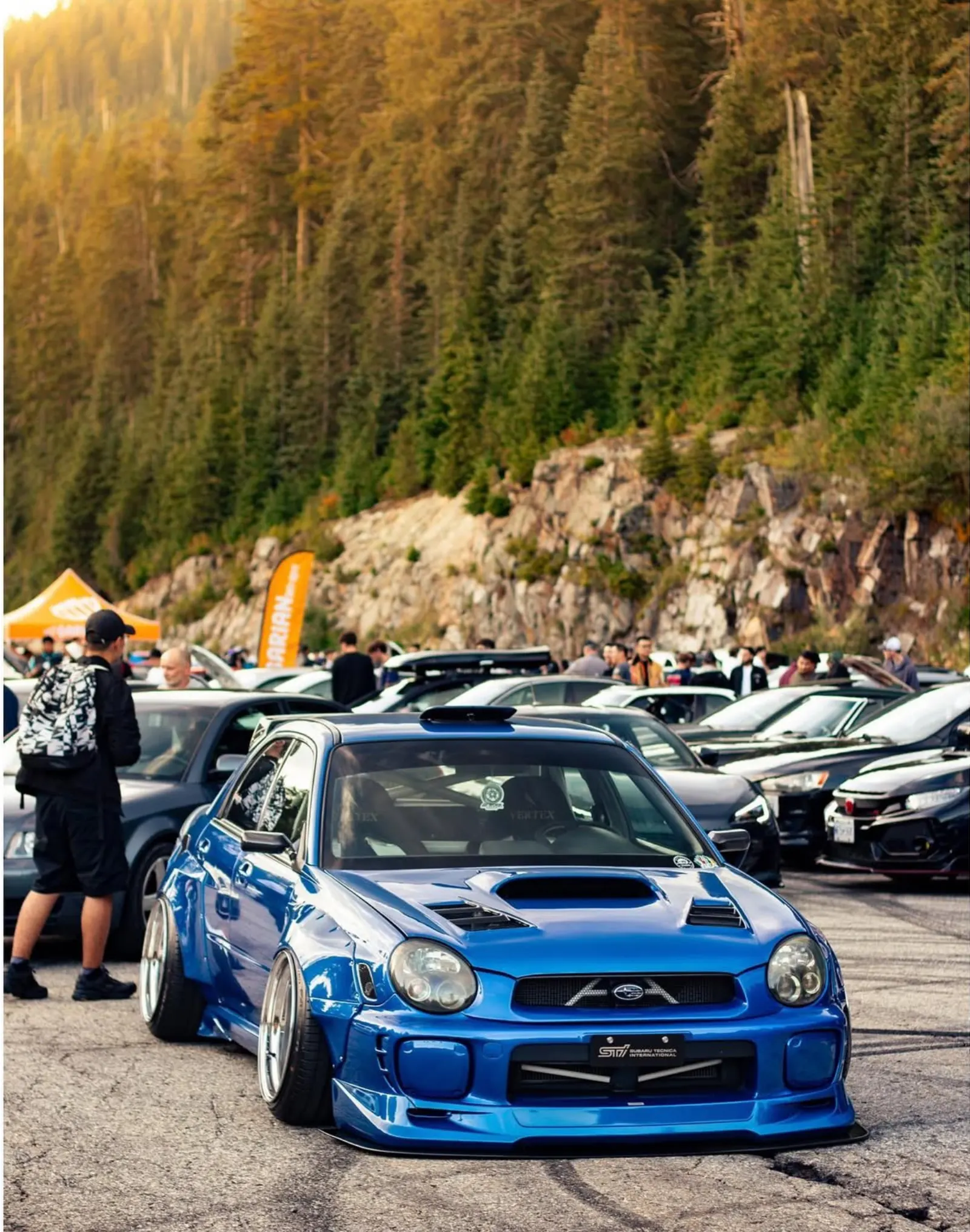 Nova North Shore automotive gallery photo
