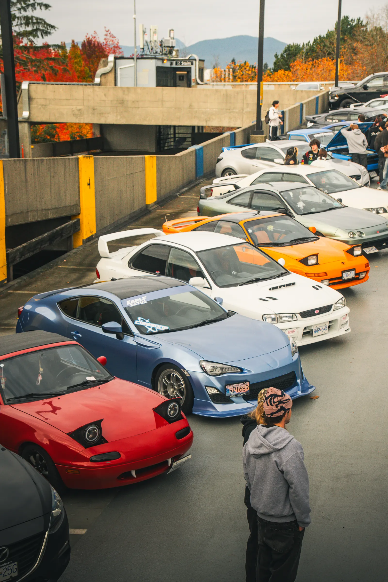 Nova North Shore cars gathered at a community meet